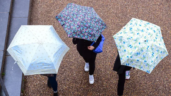 que hacer en la Warner con lluvia